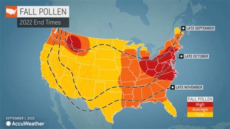 allergy forecast massachusetts|ragweed report for today.